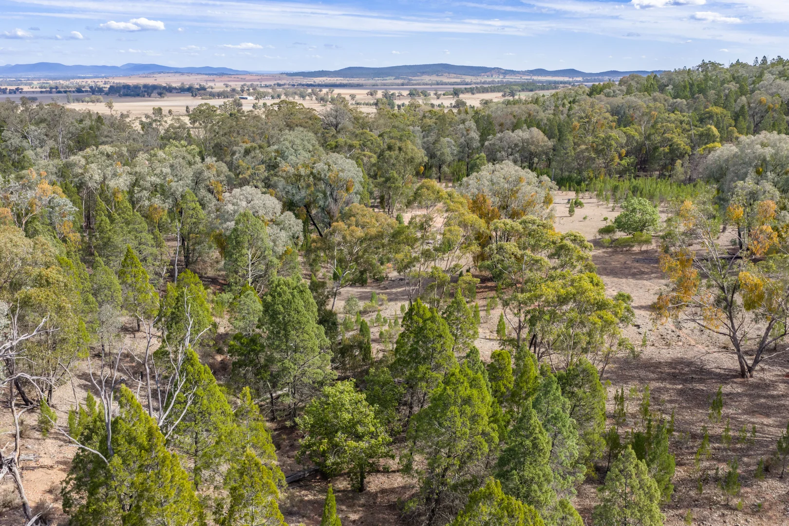Additional image 20 of 3705 Nanami Lane, Canowindra NSW 2804
