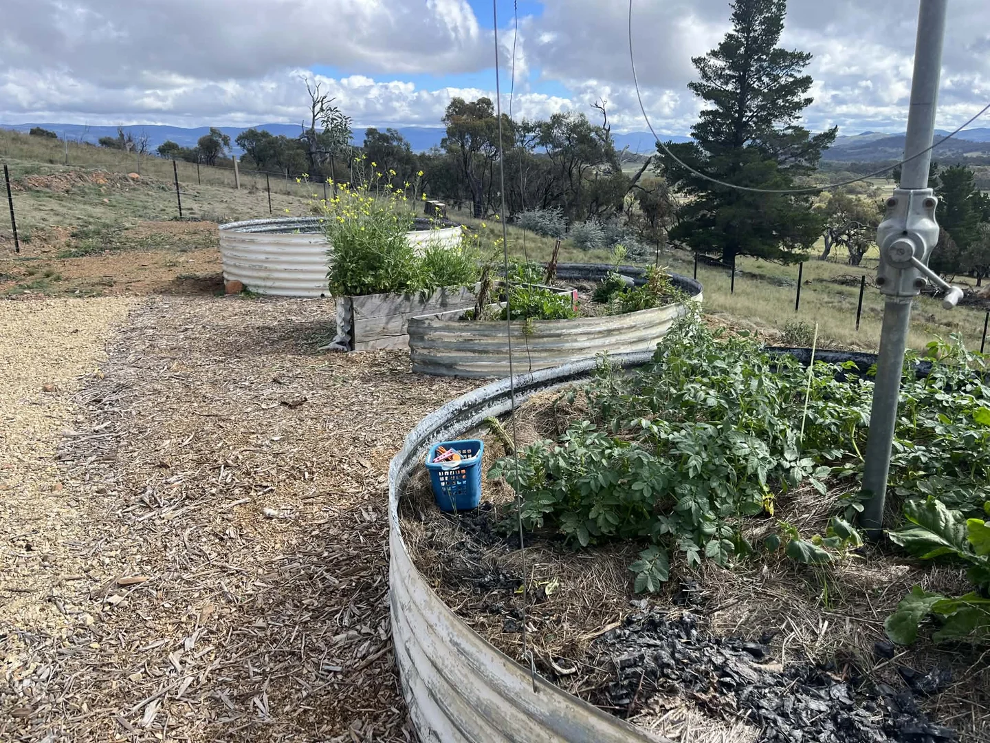 Additional image 7 of Lot 47 DP 750531 Rothlyn Road, Chakola NSW 2630