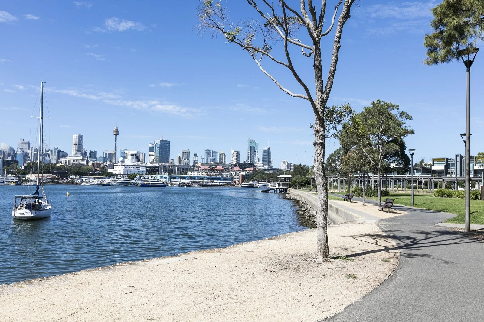 Additional image 10 of 7/29-31 Cook Street, Glebe NSW 2037