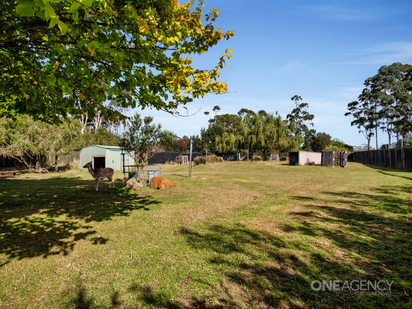Additional image 21 of 48 Leesville Road, Smithton TAS 7330