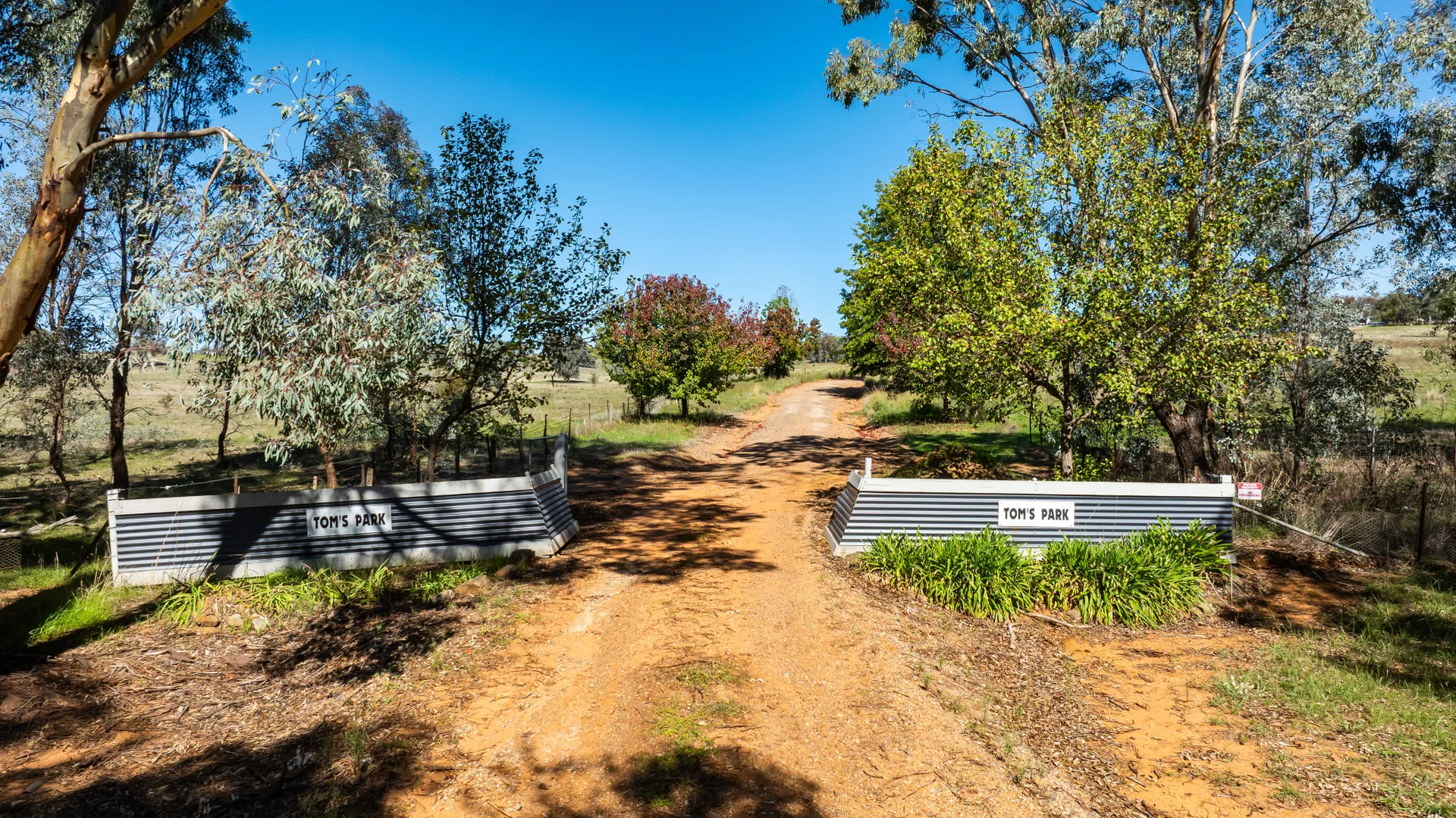Additional image 4 of 823 Woomargama Way, Woomargama NSW 2644