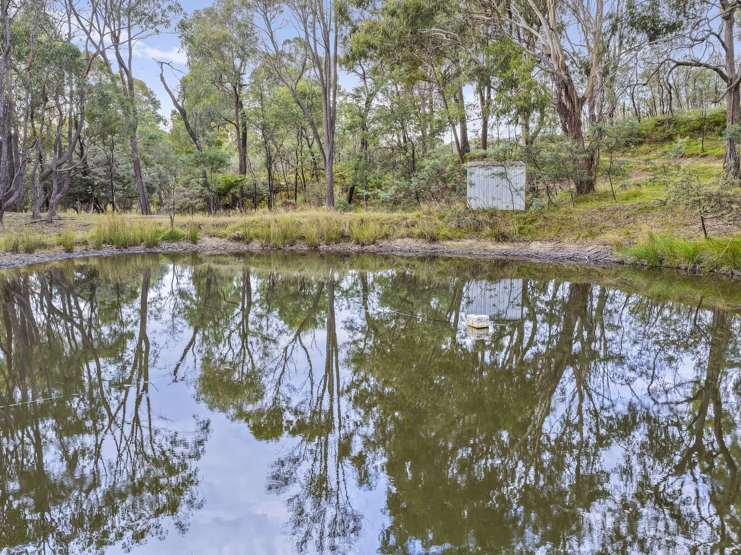 Additional image 19 of 1621 Harrys Creek Road, Marraweeney VIC 3669