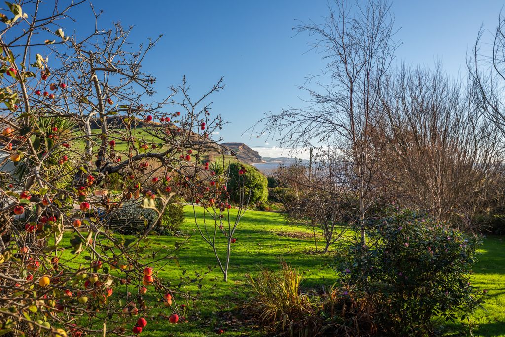Additional image 8 of 4 bed bungalow for saleHigher Sea Lane, Charmouth, Bridport, Dorset DT6