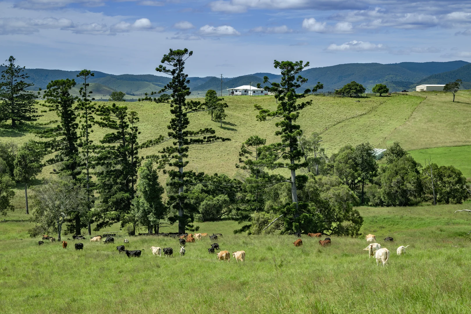 Additional image 9 of 4199 Esk Kilcoy Road, Hazeldean QLD 4515