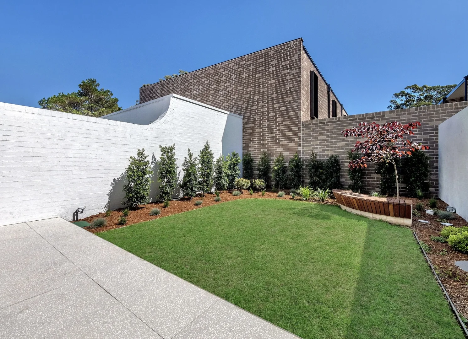 Additional image 11 of 8 Fennelly Street, Randwick NSW 2031