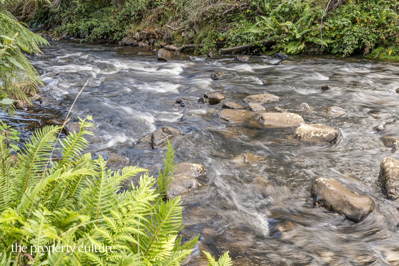 Additional image 24 of 253 Kermandie River Road, Geeveston TAS 7116