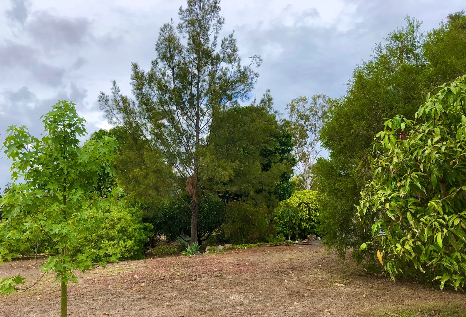 Additional image 5 of 53 Edward St, Biggenden QLD 4621