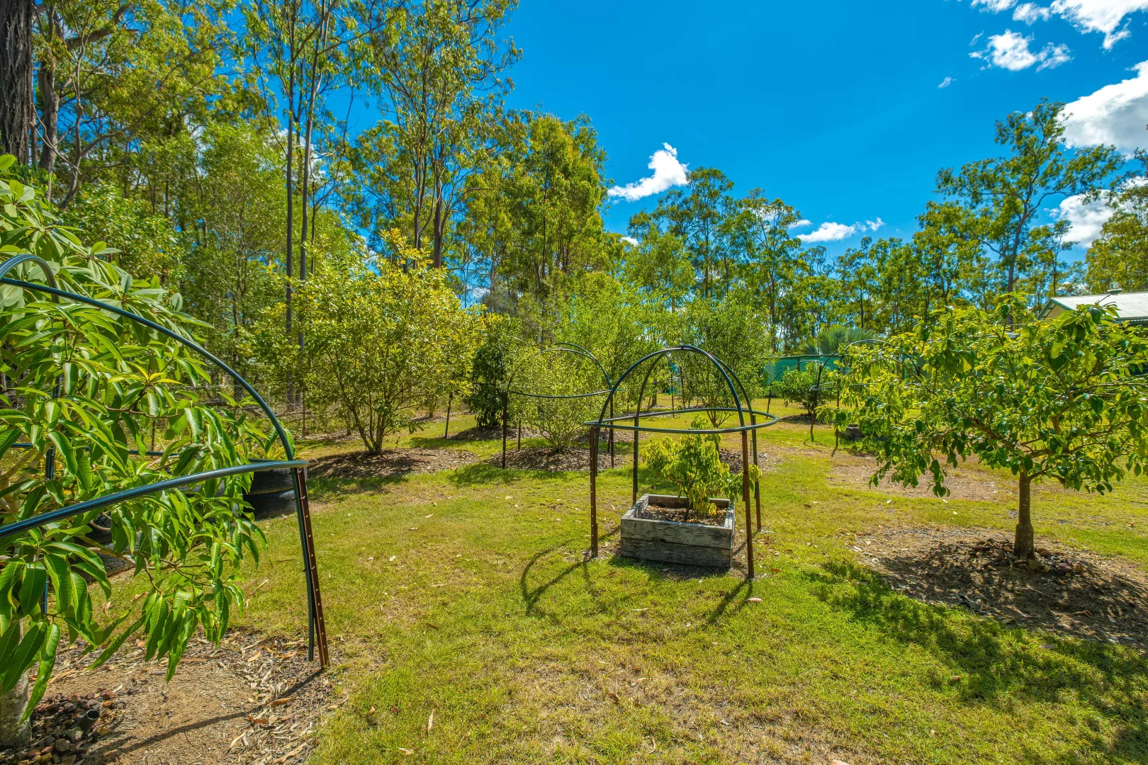 Additional image 32 of 73 Arborfourteen Road, Glenwood QLD 4570