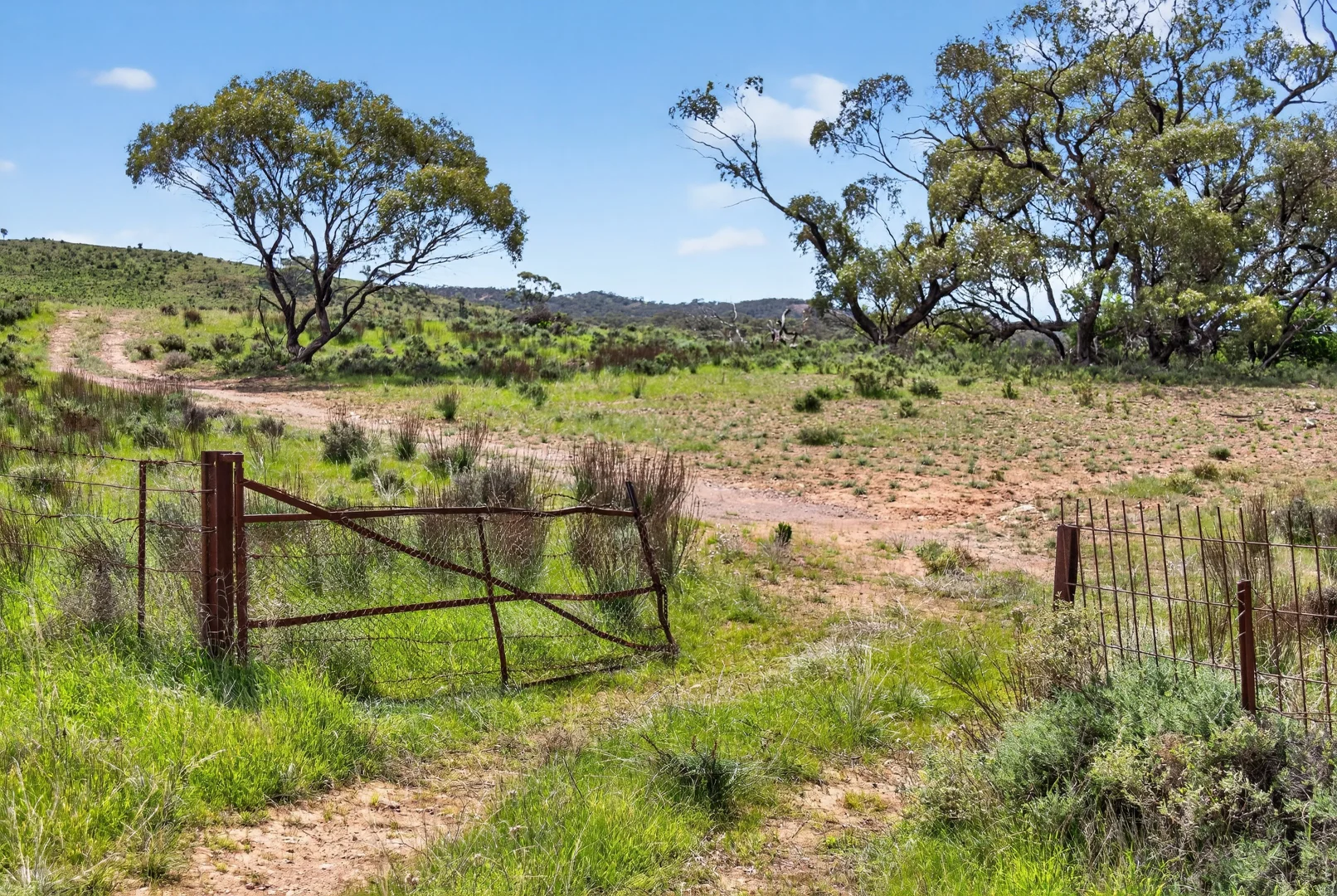 Additional image 9 of 'Ferguson' Philps Road, Minvalara SA 5422