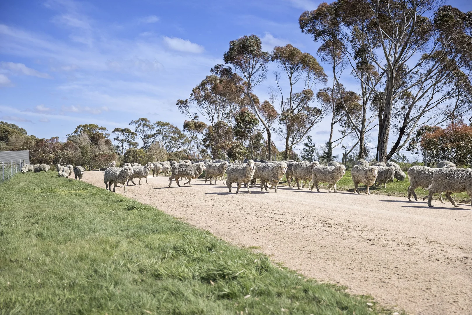 Additional image 30 of 504 Sidonia Road, Sidonia VIC 3444