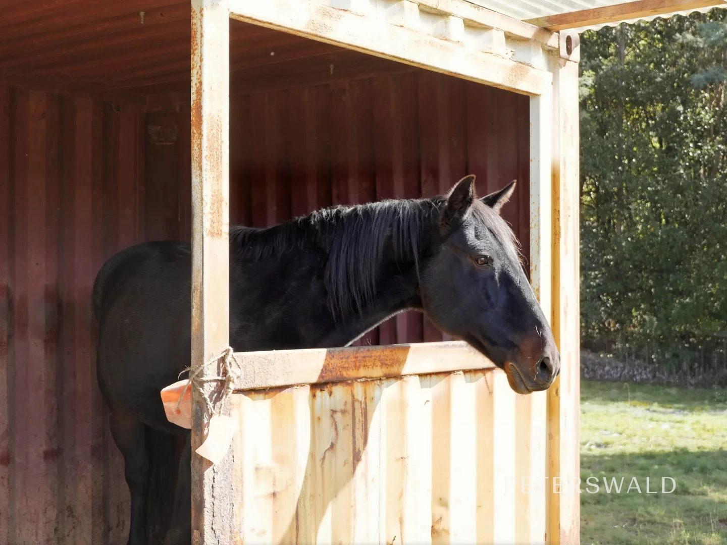 Additional image 26 of 146 Fairy Glen Road, Collinsvale TAS 7012