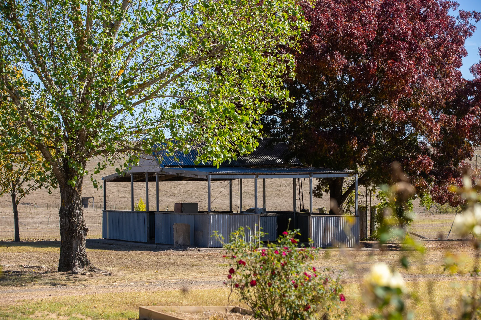 Additional image 9 of "Abermala Homestead" Enmore Road, Uralla NSW 2358
