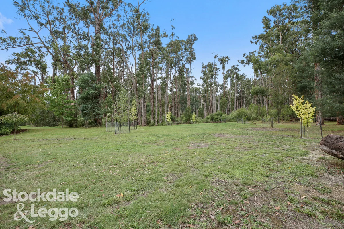 Additional image 20 of 540 Limonite Road, Boolarra VIC 3870