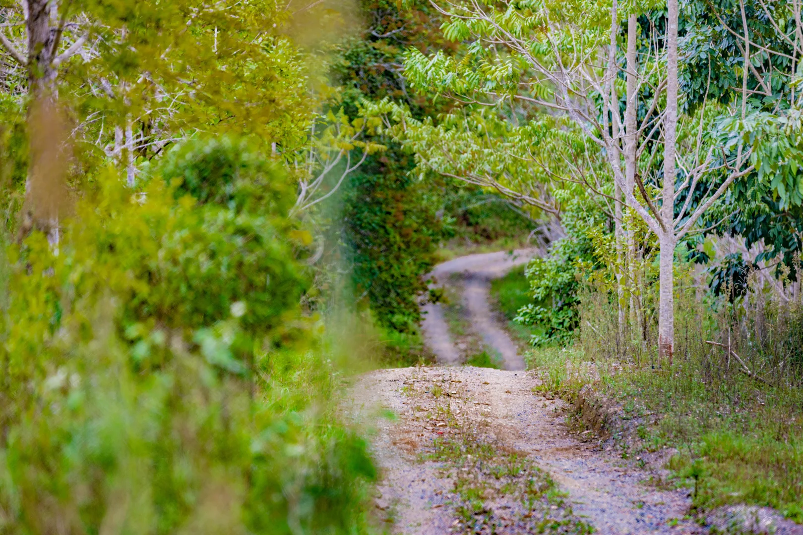 Additional image 12 of 261 Chinamans Creek Road, Tuchekoi QLD 4570