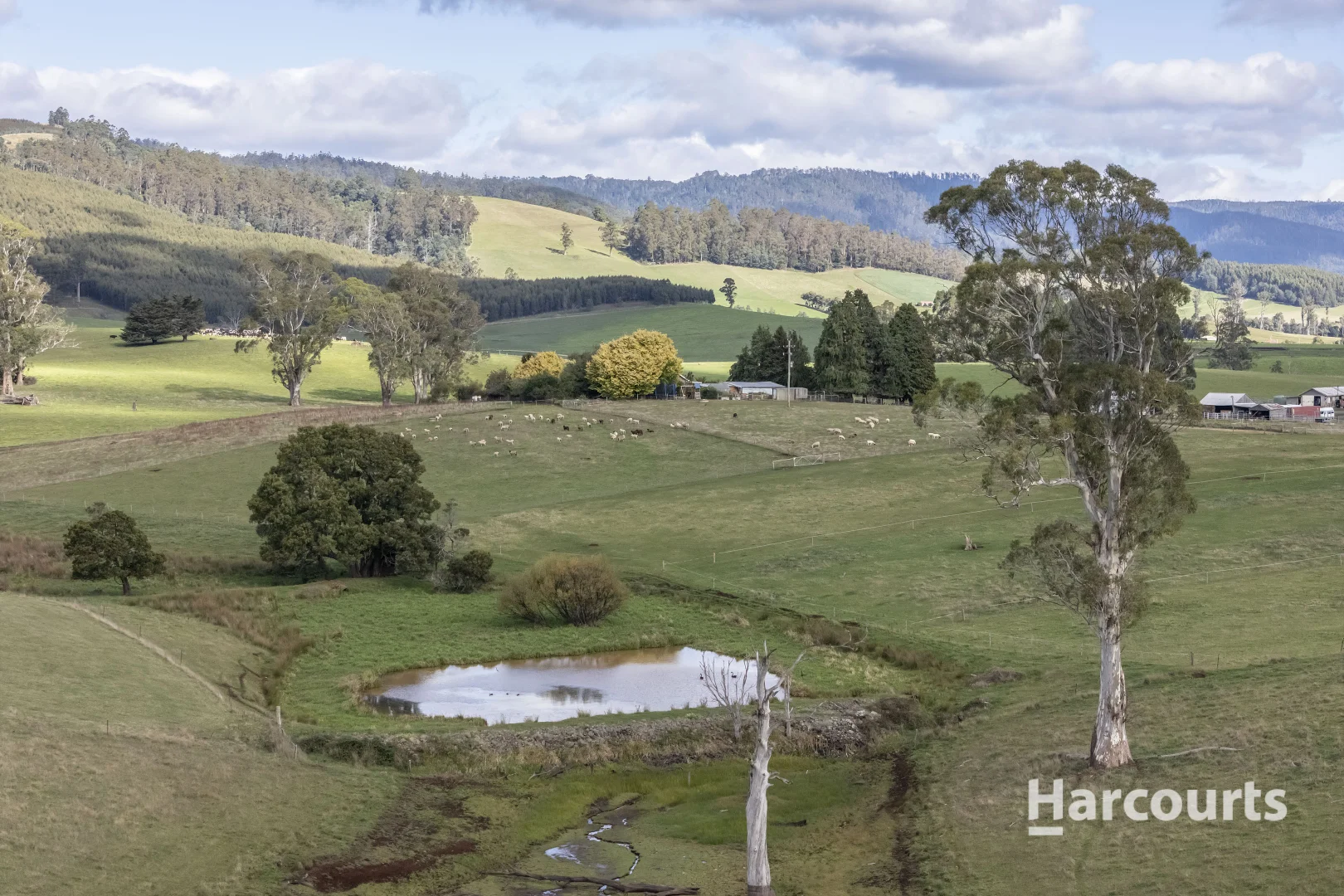 Additional image 37 of 214 Mathinna Plains Road, Ringarooma TAS 7263