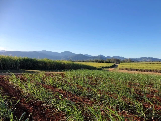 Additional image 13 of Pinnacle QLD 4741