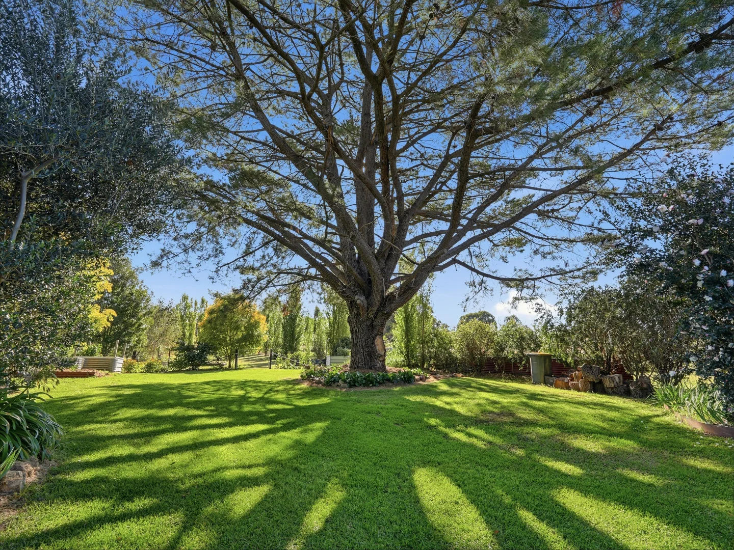 Additional image 13 of 33 Mount Mcdonald Road, Lyndhurst NSW 2797