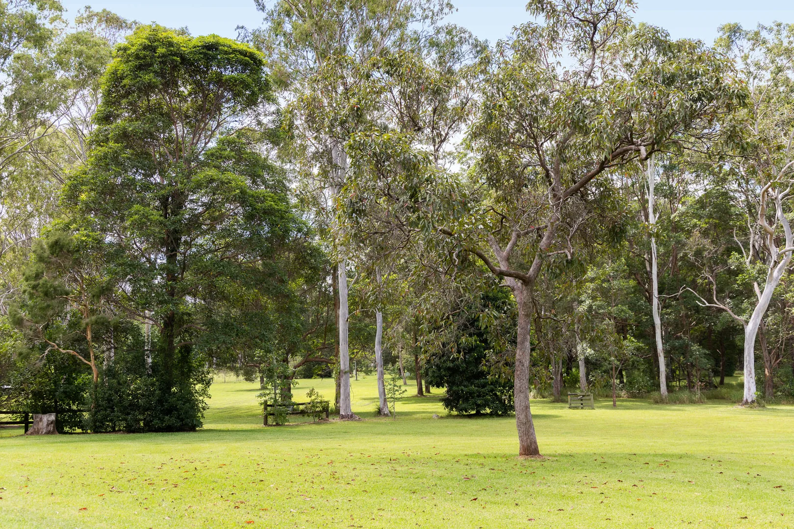 Additional image 11 of 239 Dath Henderson Road, Tinbeerwah QLD 4563