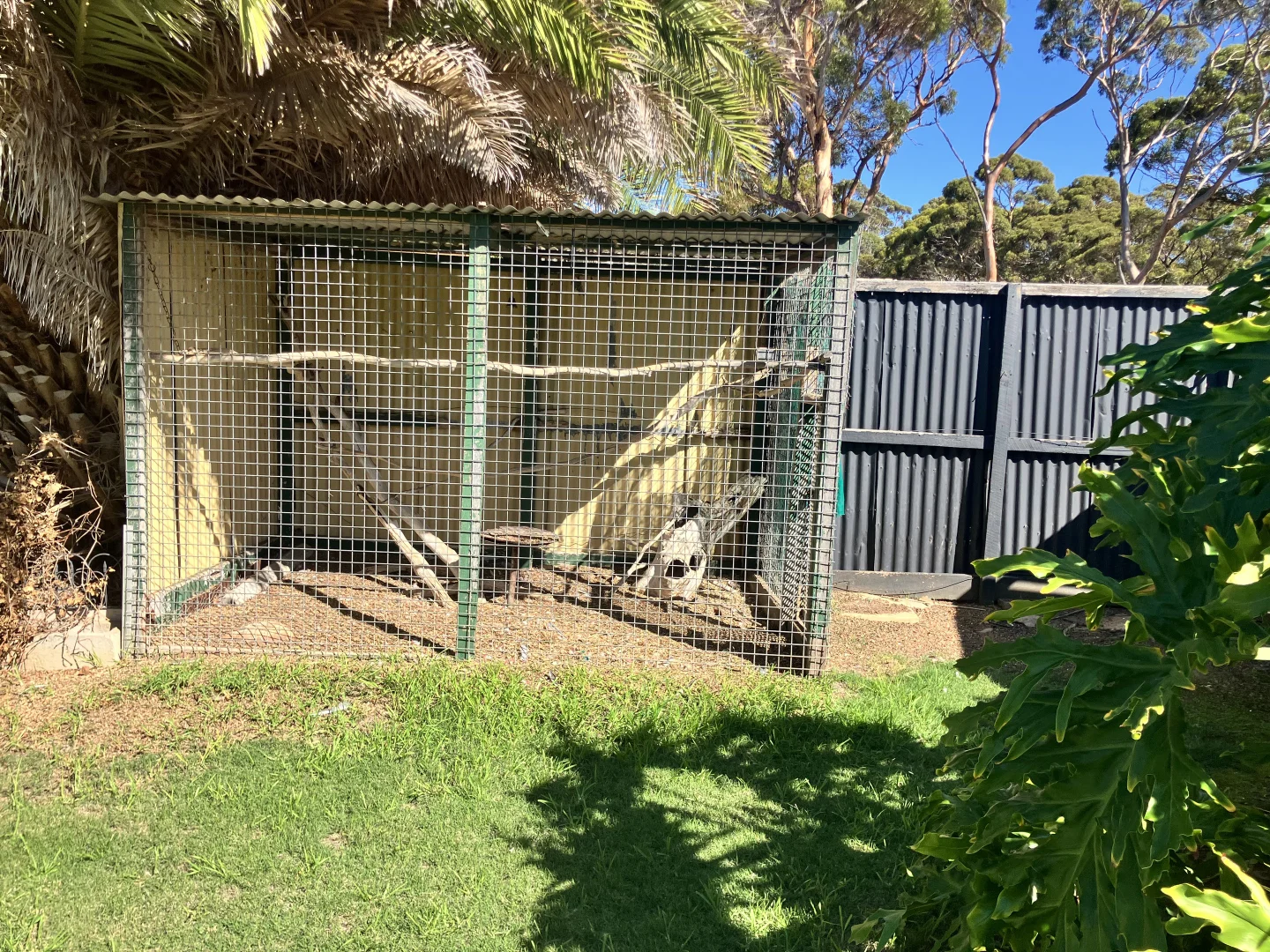 Additional image 38 of 65 Dunn Street, Ravensthorpe WA 6346