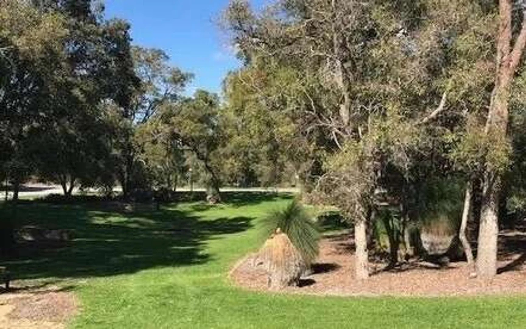 Additional image 10 of Coolbellup WA 6163