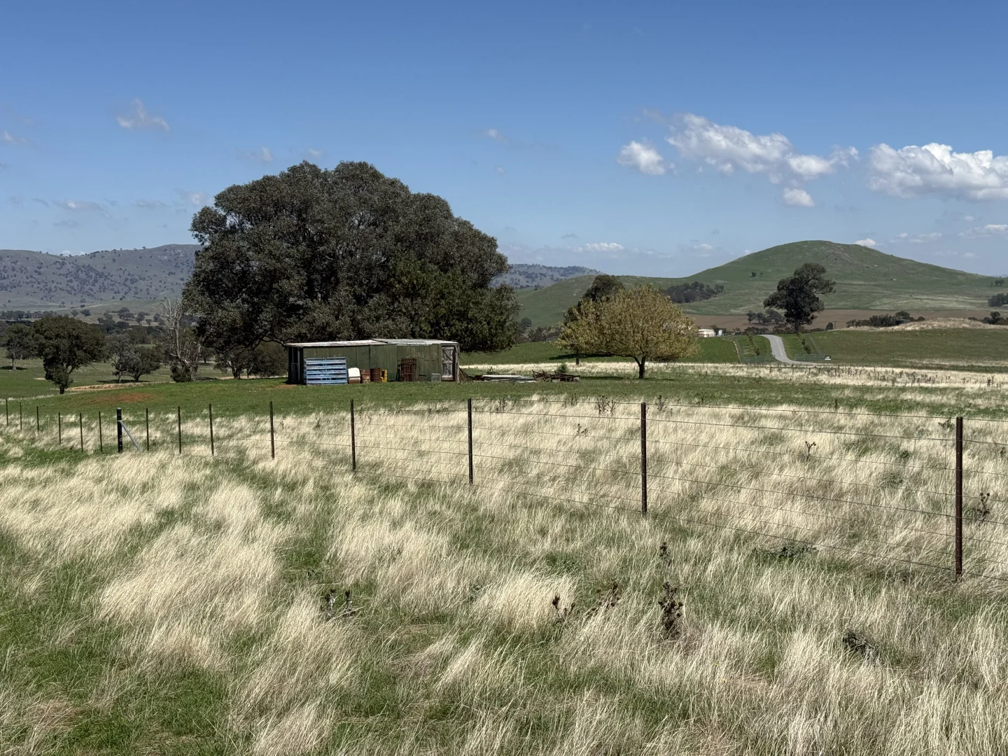 Additional image 4 of Camerons Hill Lot 17 Reynolds Lane, Binalong NSW 2584