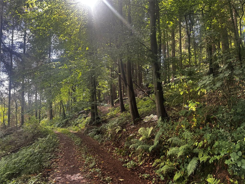 Additional image 14 of Land for saleBerriew, Welshpool, Powys SY21