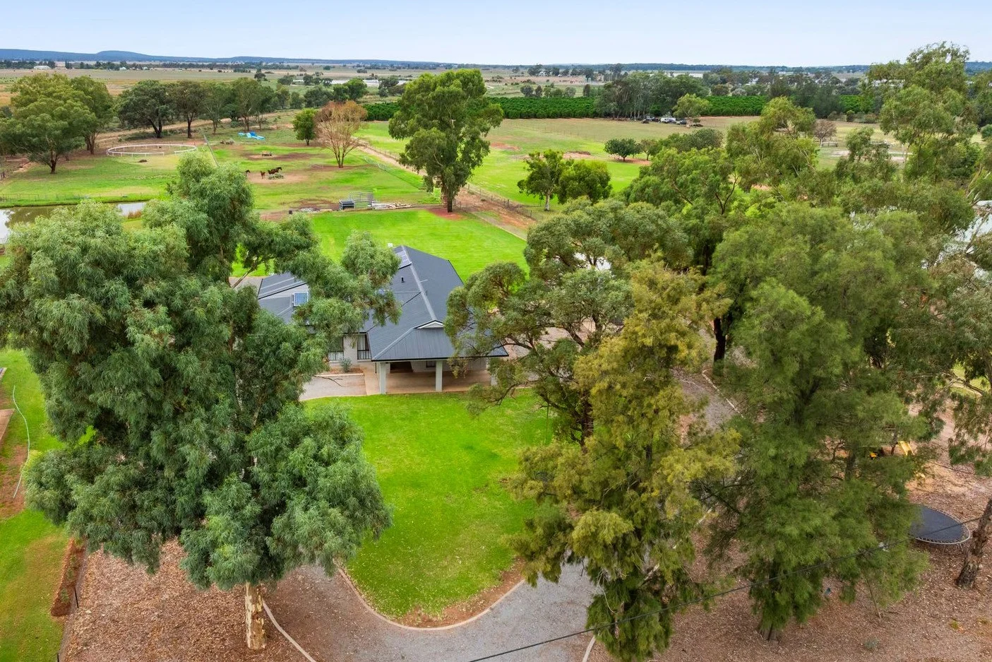 Additional image 30 of 336 Petersham Road, Leeton NSW 2705