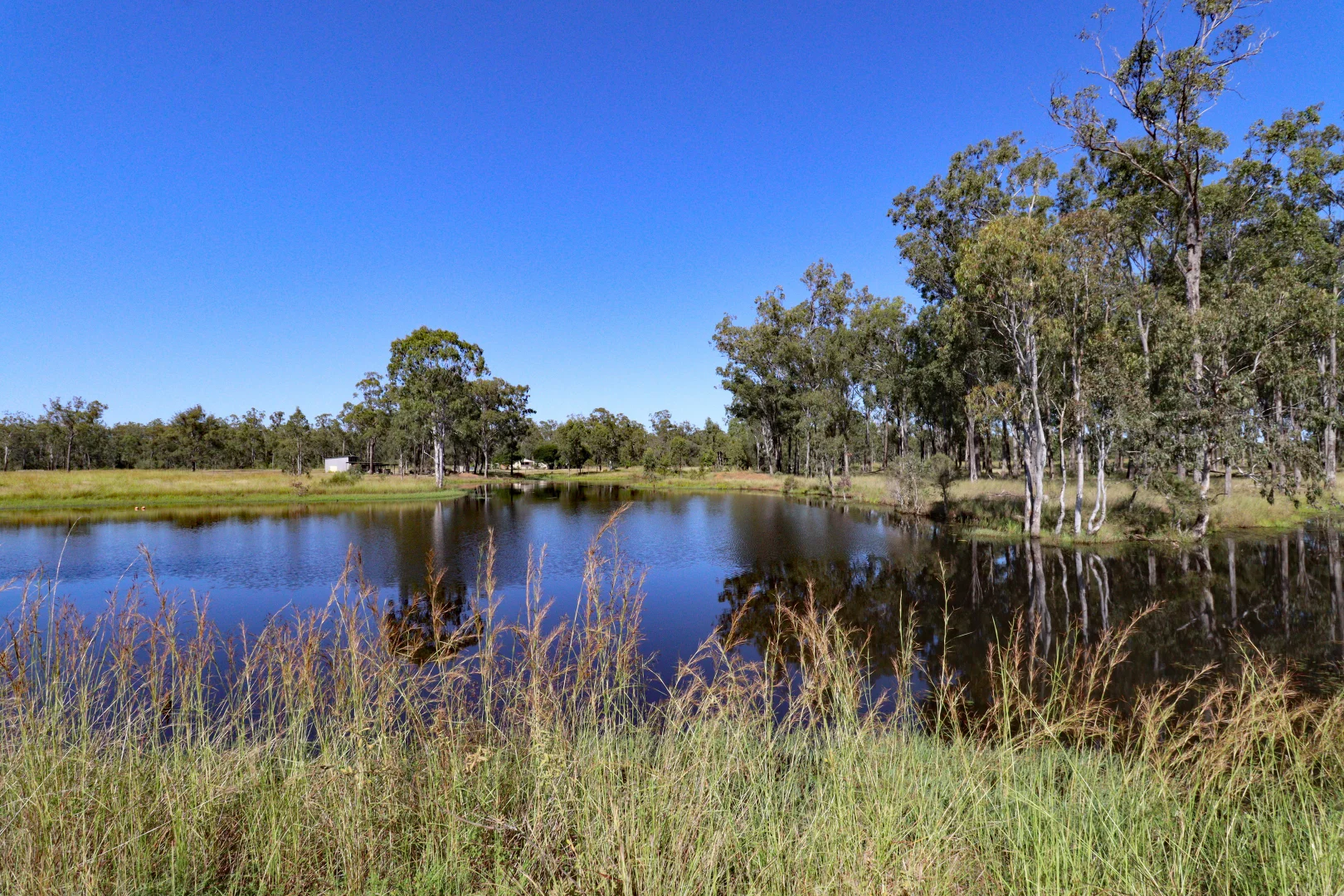 Additional image 15 of 2956 Dawson Highway, Calliope QLD 4680