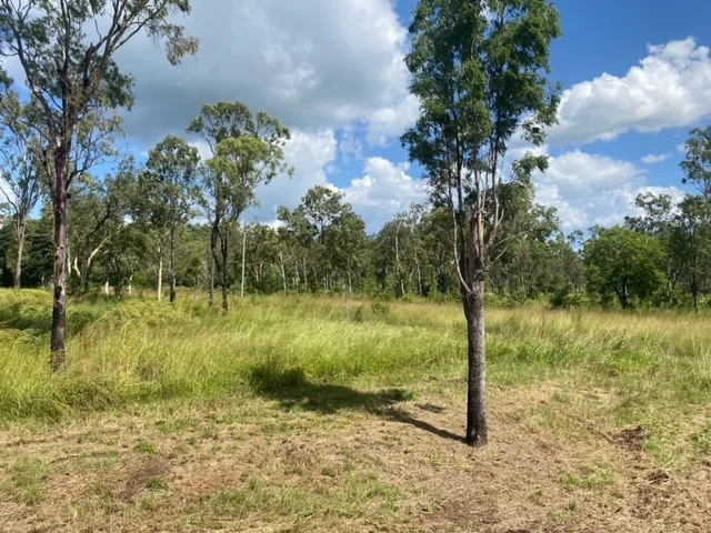 Lot 21 Exmoor Road, Bloomsbury QLD 4799