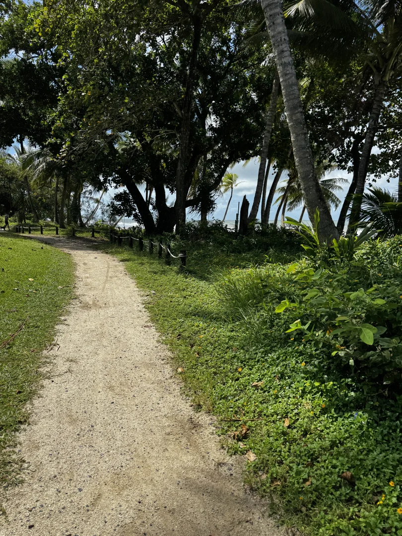 Additional image 26 of 1/21 Conch Street, Mission Beach QLD 4852
