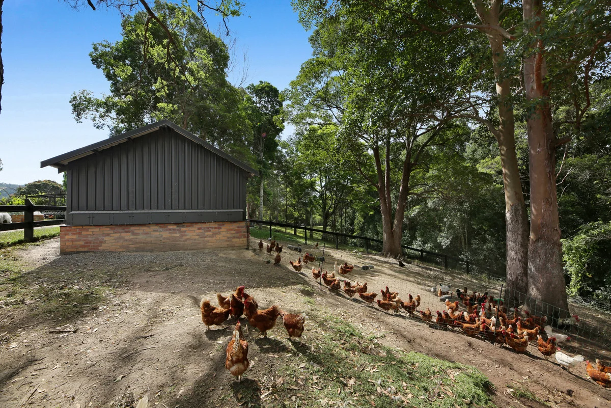 Additional image 30 of 52B Syndicate Road, Tallebudgera Valley QLD 4228