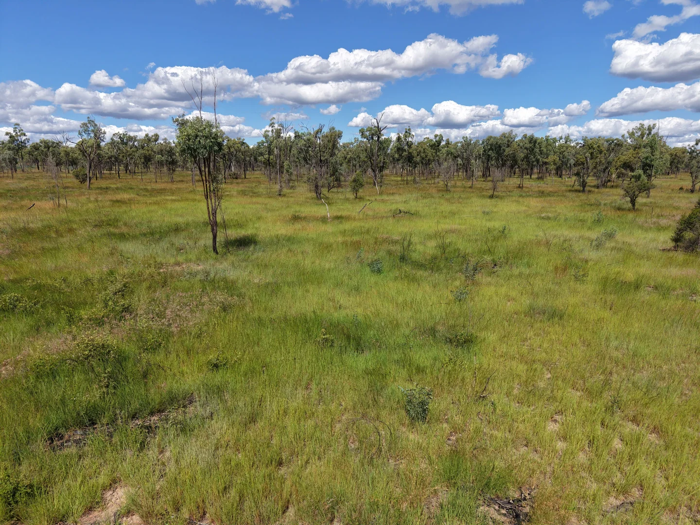Additional image 36 of 14237 Capricorn Highway, Dingo QLD 4702