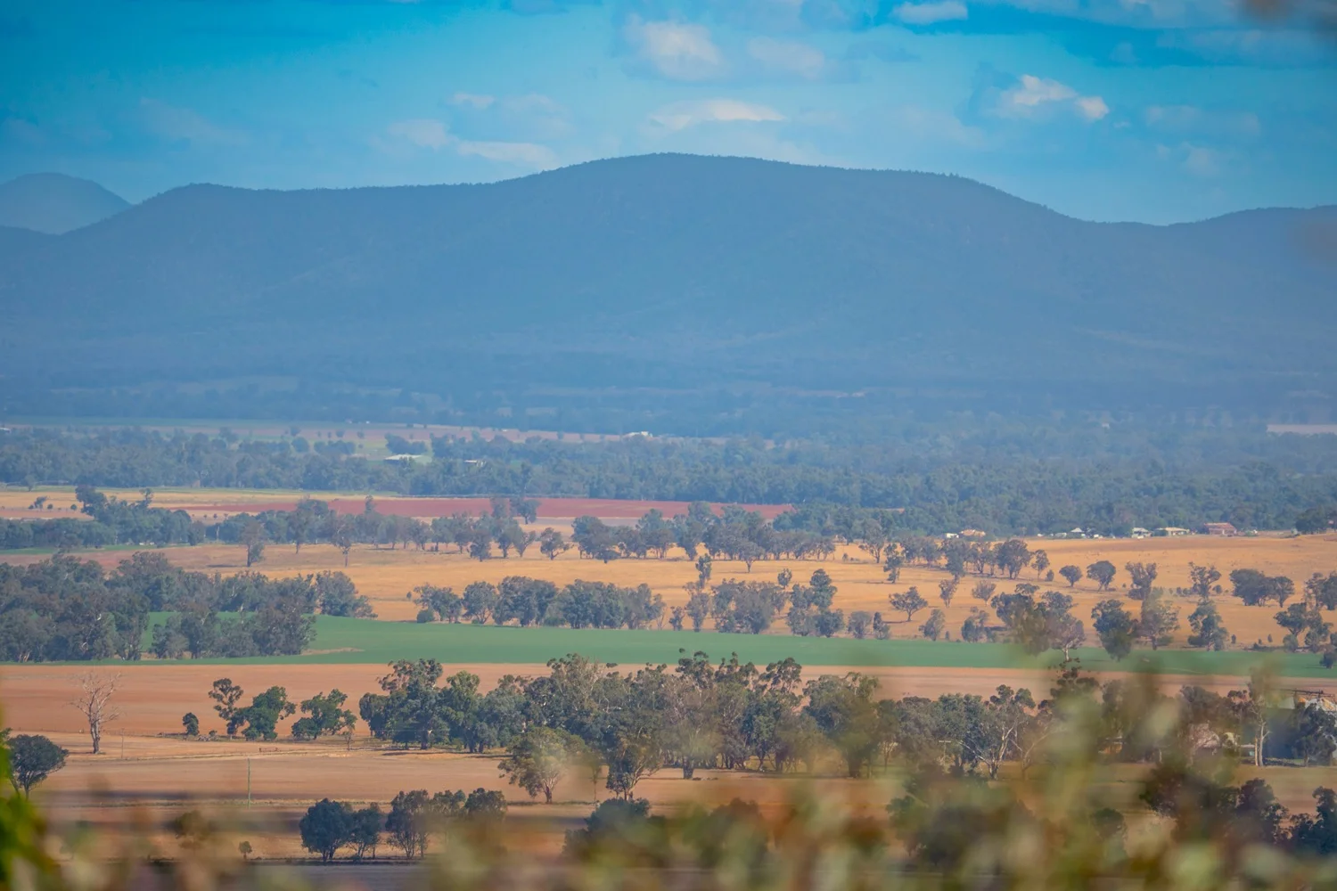 Additional image 28 of 3705 Nanami Lane, Canowindra NSW 2804