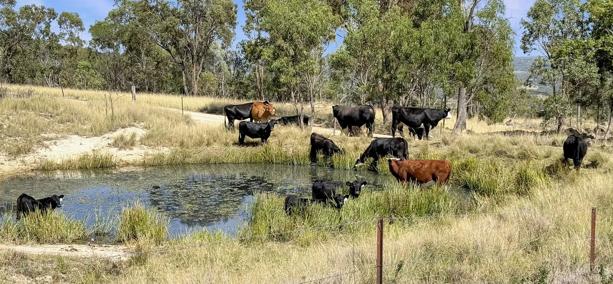 Additional image 36 of 518 Back Creek Road, Mount Tully QLD 4380