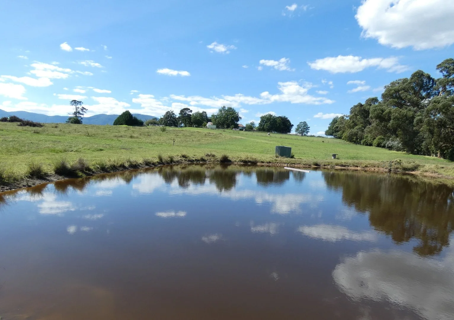 Healesville VIC 3777