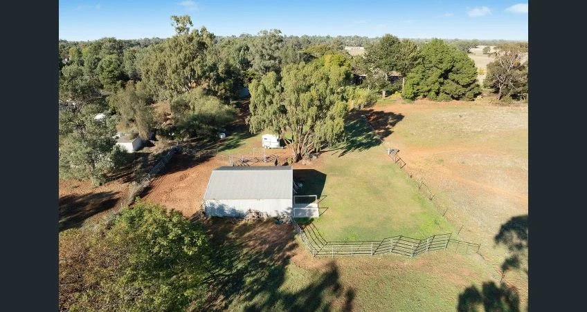 Additional image 20 of 16 CLIFFORDS ROAD, Narrandera NSW 2700
