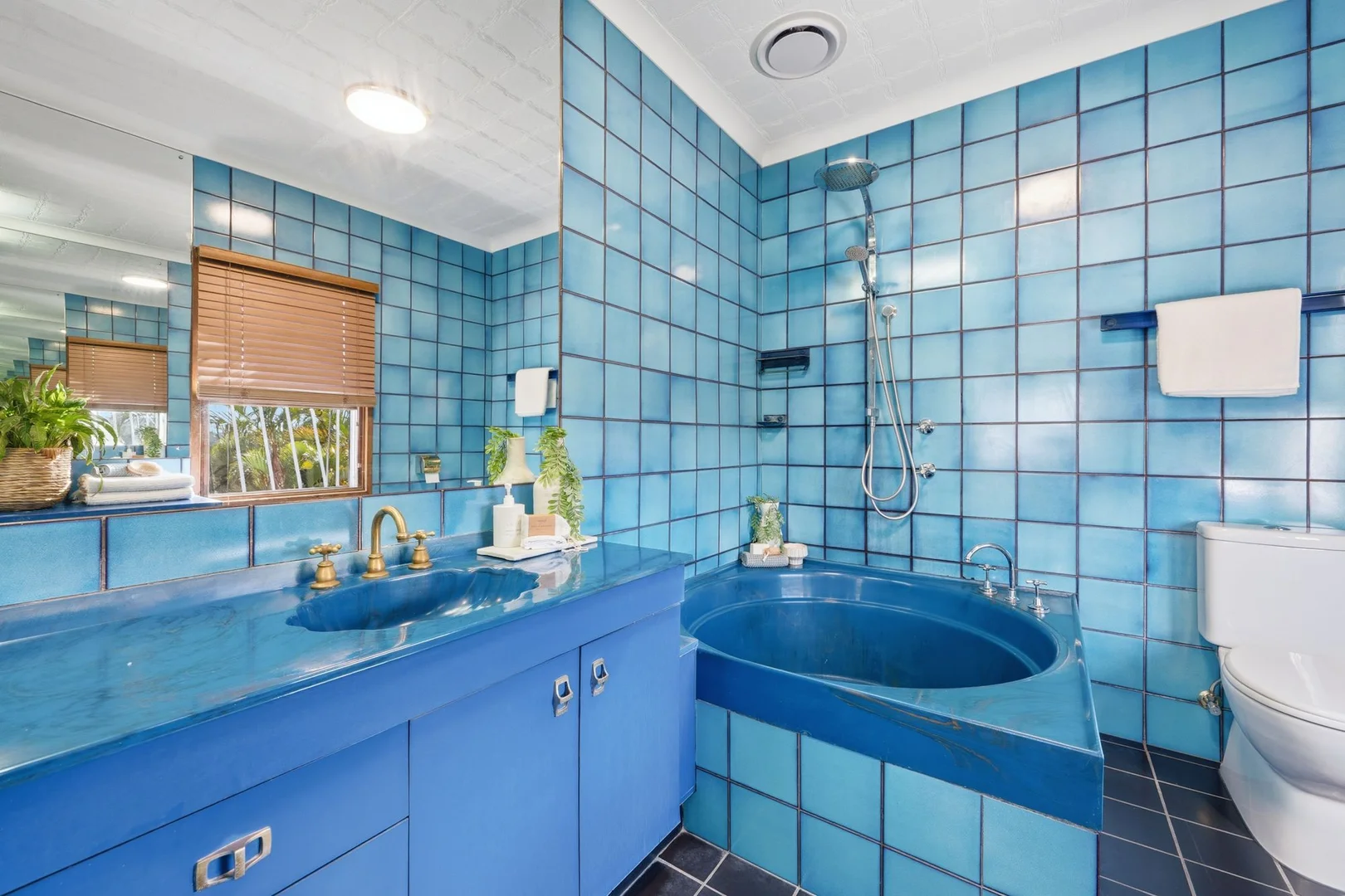 Additional image 10 of 47 Ironwood Street, Aspley QLD 4034