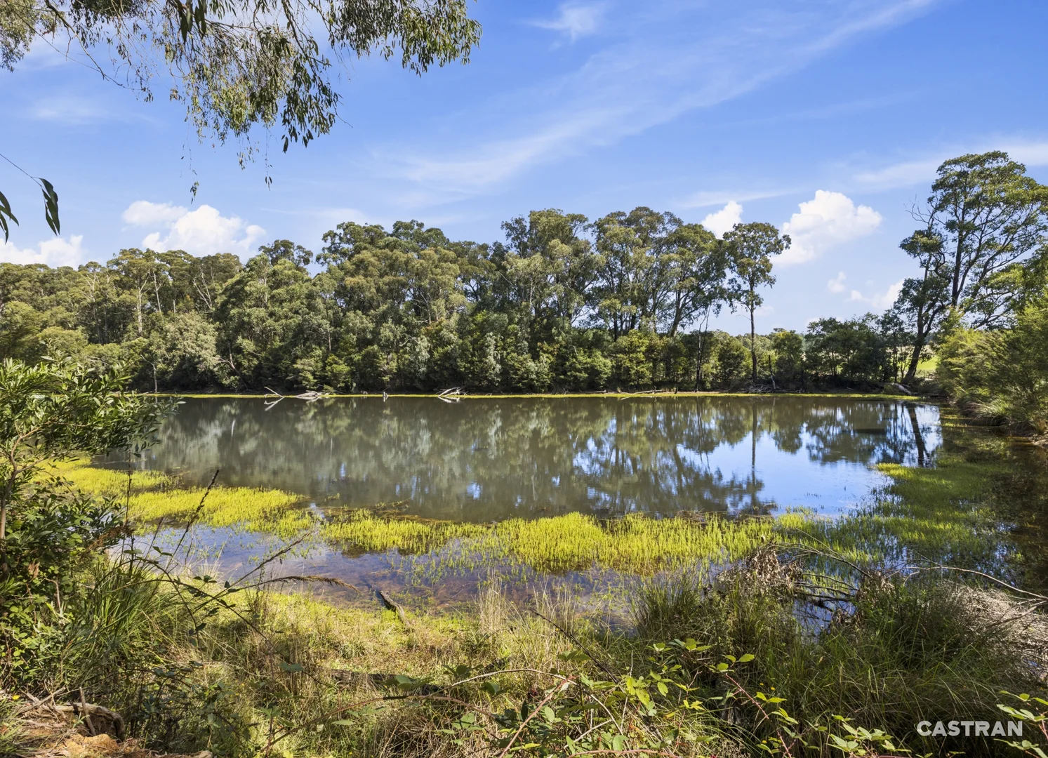 Additional image 18 of 1363 Whittlesea Yea Road, Kinglake West VIC 3757