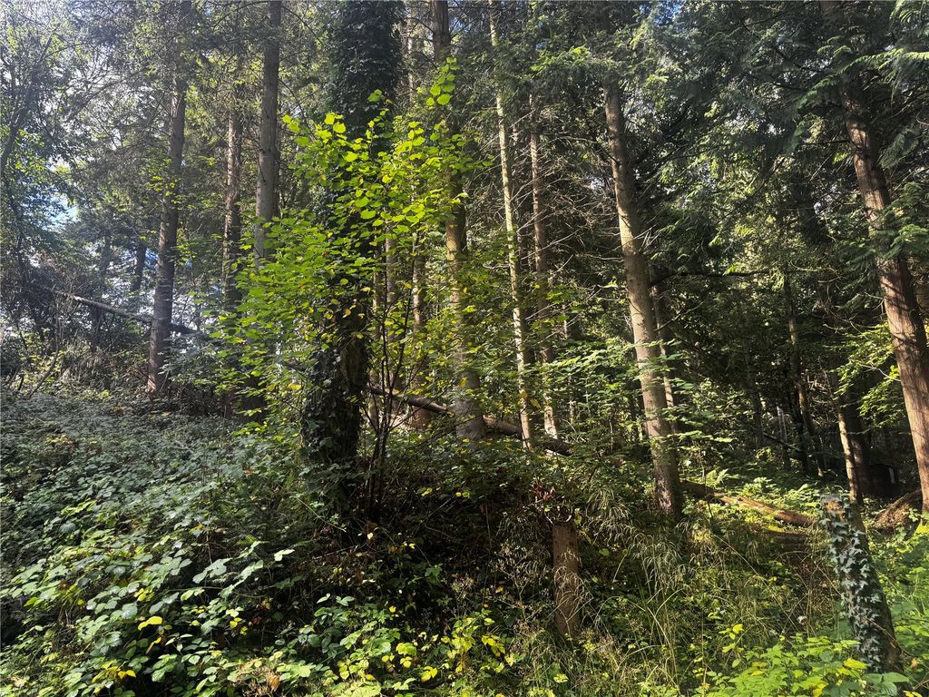 Additional image 10 of Land for saleBerriew, Welshpool, Powys SY21
