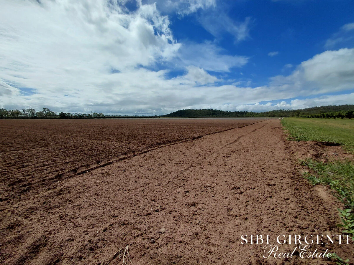 Additional image 11 of 262 Gilmore Road, Mareeba QLD 4880