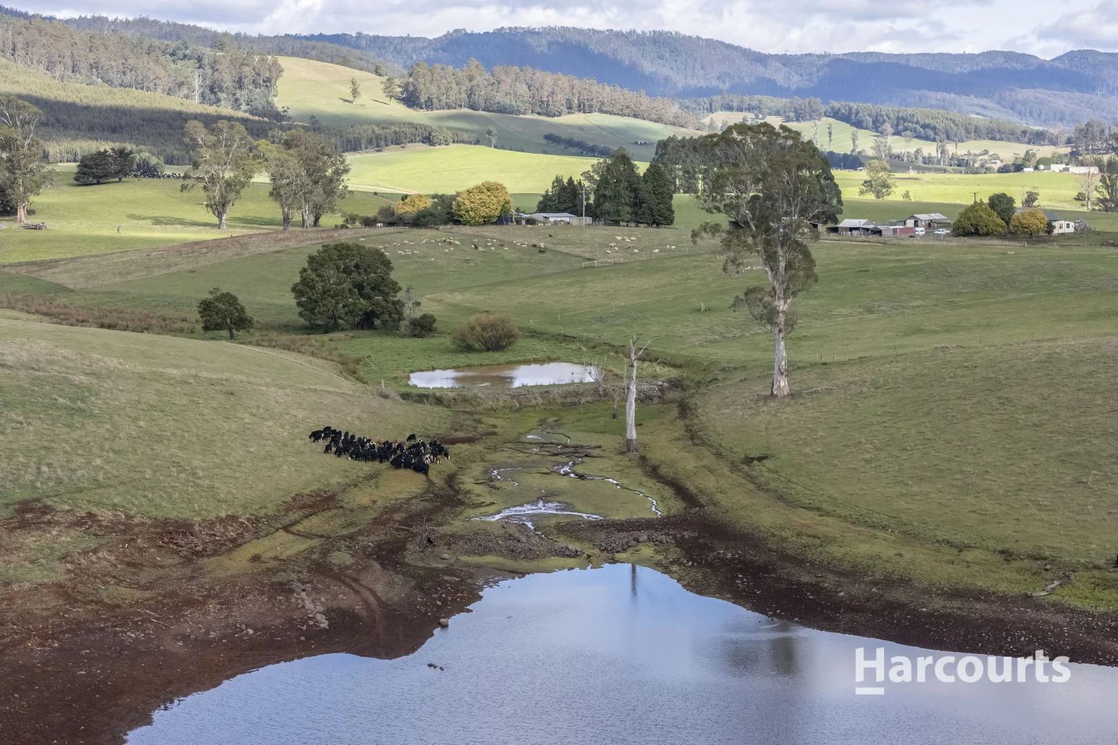Additional image 35 of 214 Mathinna Plains Road, Ringarooma TAS 7263