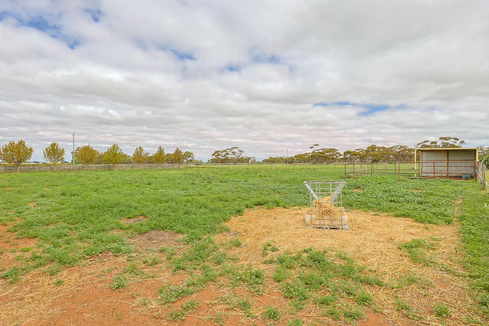Additional image 33 of 254 Seventh Street, Merbein South VIC 3505