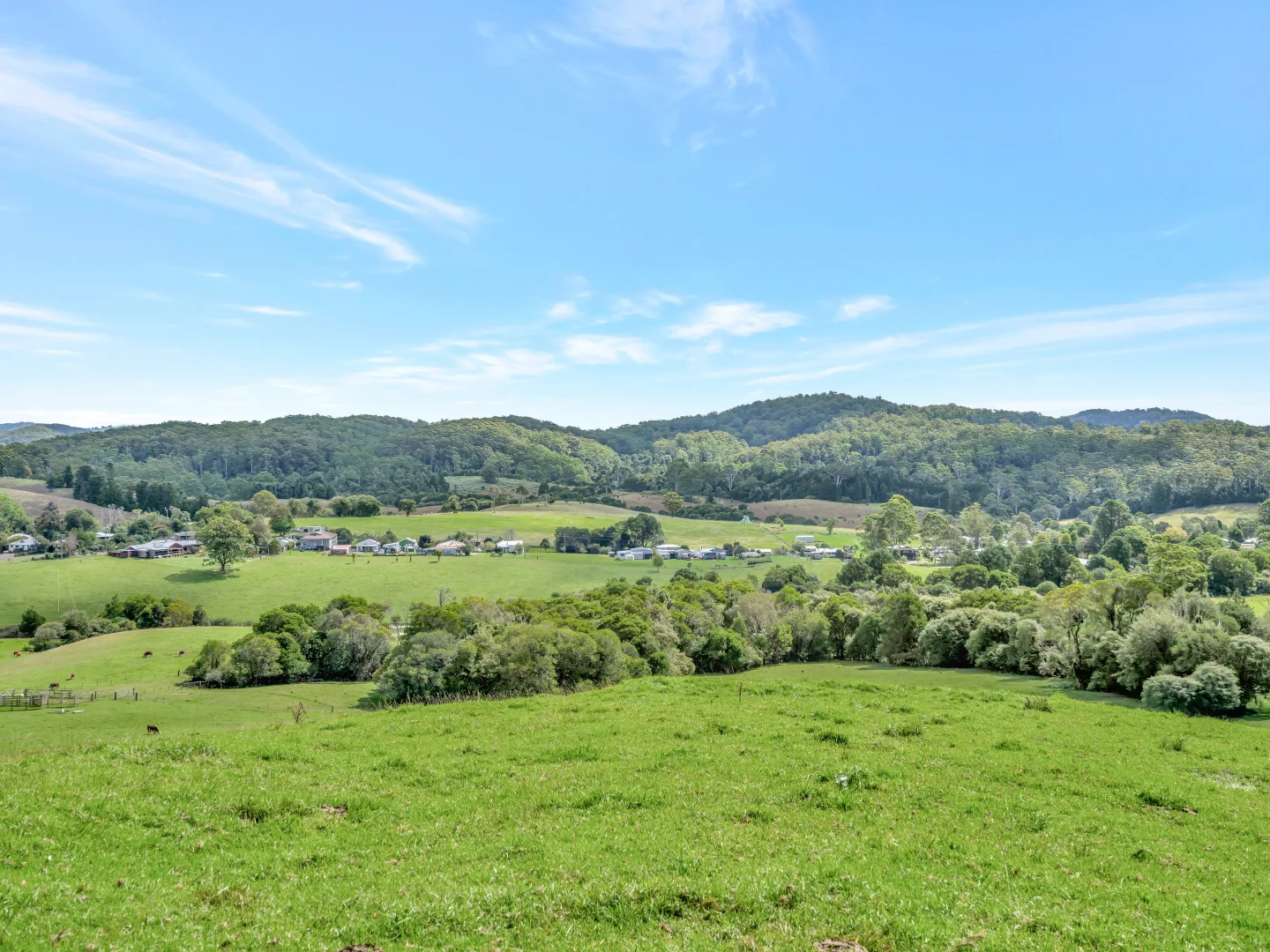 Additional image 19 of 111 Pine Avenue, Ulong NSW 2450