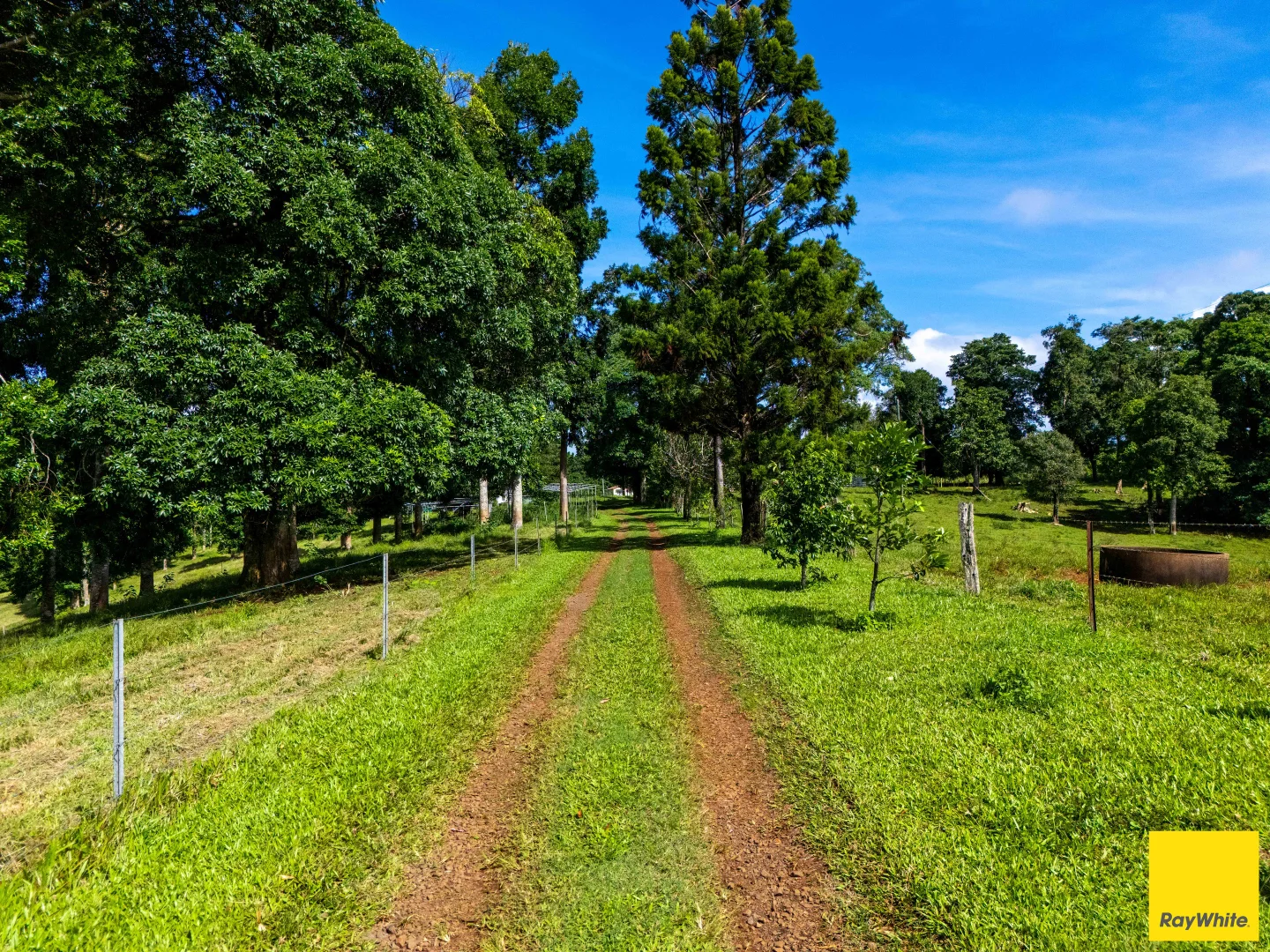 Additional image 6 of 2071 Palmerston Highway, East Palmerston QLD 4860