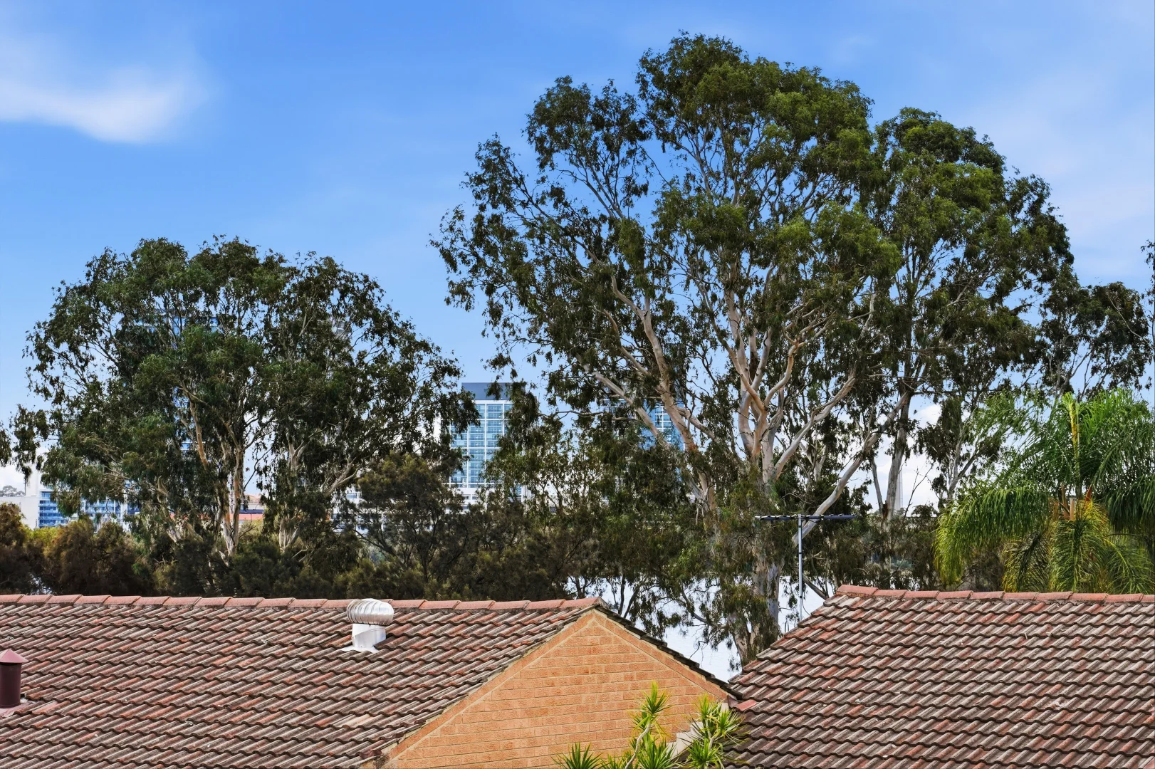 Additional image 27 of Level 2, 115/6 Manning Terrace, South Perth WA 6151