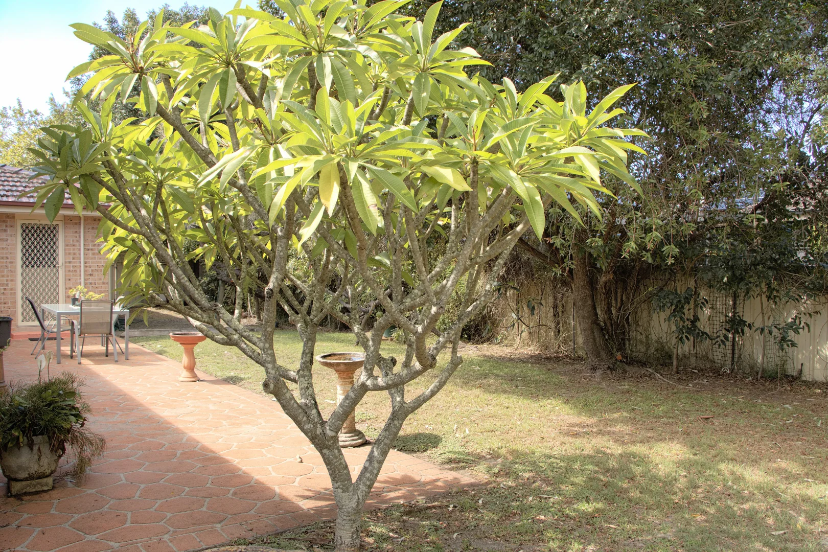 Additional image 21 of 6 Dunshea Avenue, Tea Gardens NSW 2324