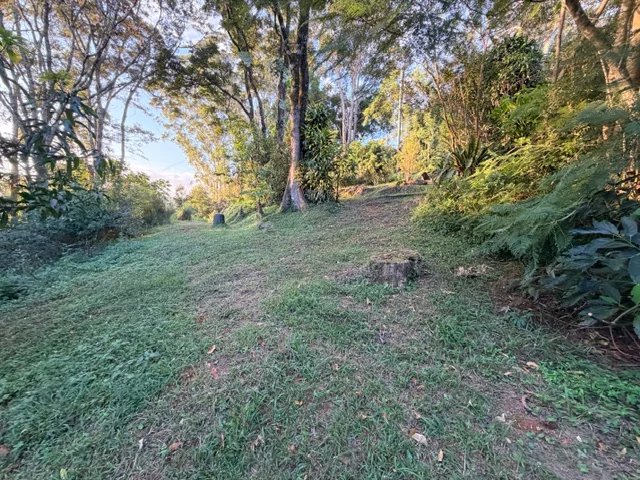 Additional image 34 of 2448 Dunoon Road, Rosebank NSW 2480