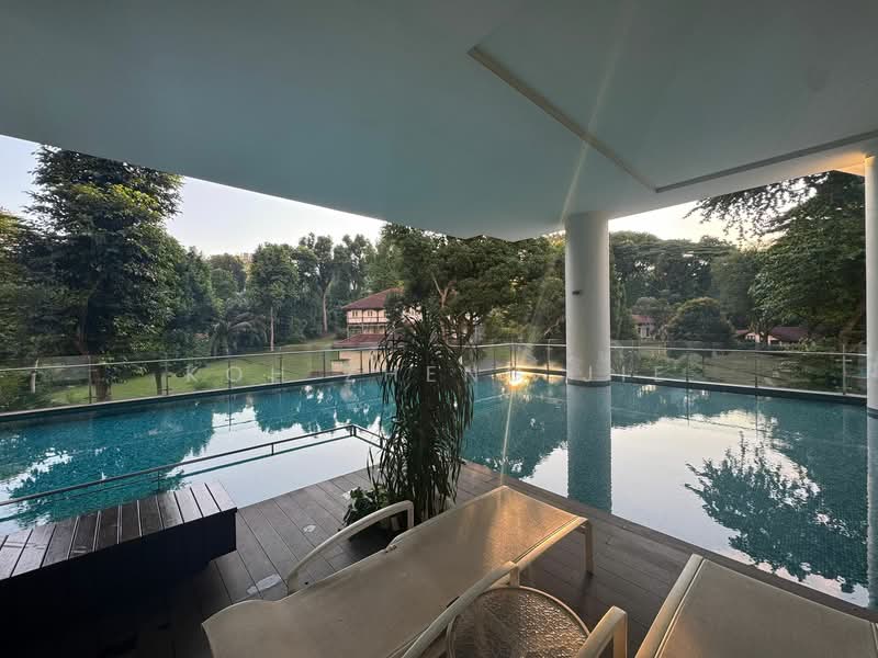 45 Scotts Road photo 3