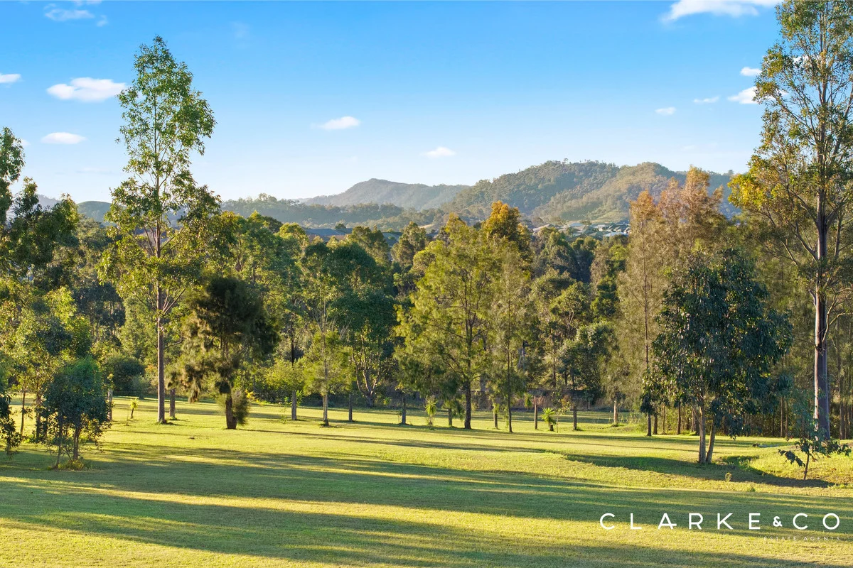 Additional image 18 of 105 Forest Hill Drive, Oakhampton Heights NSW 2320