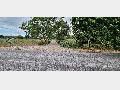 Additional image 15 of Land for saleMill Lane, Wimborne BH21
